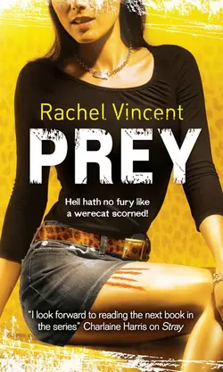 Prey Rachel Vincent