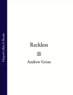 Reckless Andrew Gross