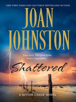 Shattered, Joan Johnston