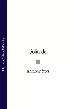 Solitude, Anthony Storr