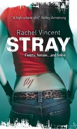 Stray Rachel Vincent