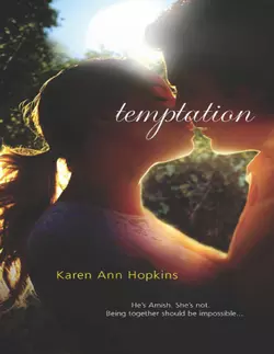 Temptation, Karen Hopkins