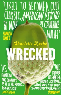 Wrecked Charlotte Roche