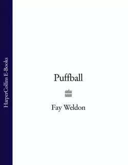 Puffball Fay Weldon