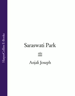 Saraswati Park, Anjali Joseph