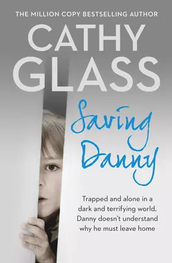 Saving Danny Cathy Glass