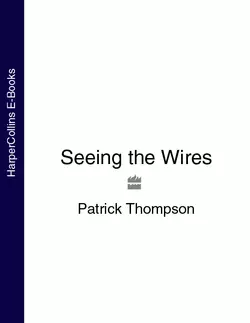 Seeing the Wires, Patrick Thompson