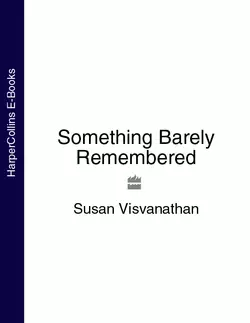 Something Barely Remembered Susan Visvanathan