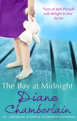 The Bay at Midnight Diane Chamberlain