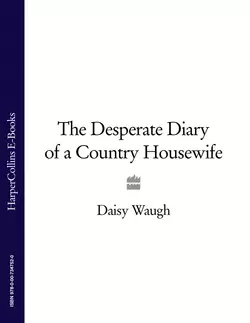 The Desperate Diary of a Country Housewife Daisy Waugh