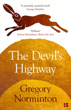 The Devil’s Highway Gregory Norminton