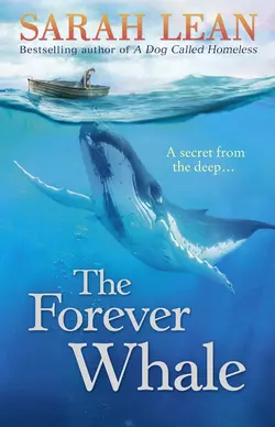 The Forever Whale, Sarah Lean