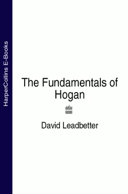 The Fundamentals of Hogan, David Leadbetter