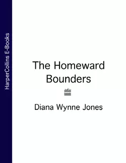 The Homeward Bounders, Diana Jones