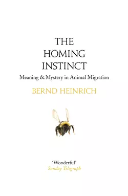 The Homing Instinct: Meaning and Mystery in Animal Migration, Bernd Heinrich