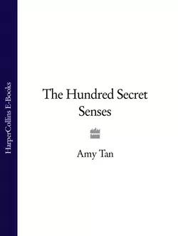 The Hundred Secret Senses, Amy Tan