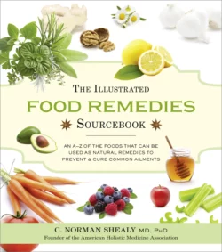 The Illustrated Food Remedies Sourcebook, Norman Shealy