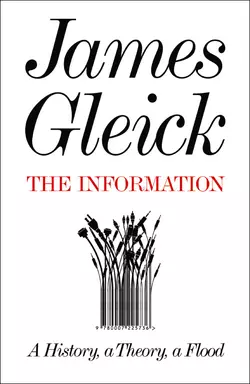 The Information: A History, a Theory, a Flood, James Gleick