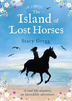 The Island of Lost Horses, Stacy Gregg