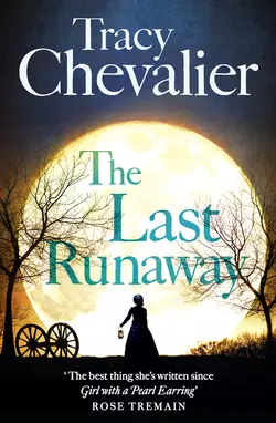 The Last Runaway, Tracy Chevalier