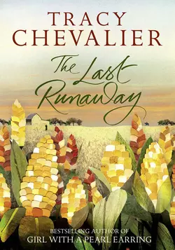 The Last Runaway, Tracy Chevalier