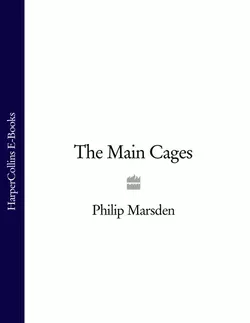 The Main Cages Philip Marsden