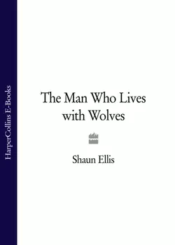 The Man Who Lives with Wolves, Shaun Ellis