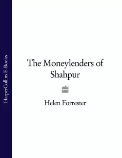 The Moneylenders of Shahpur, Helen Forrester