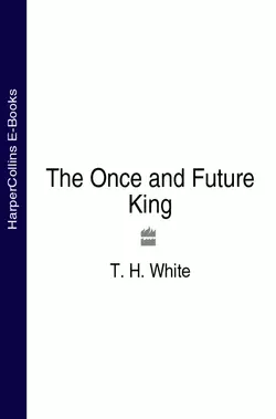 The Once and Future King, T. White