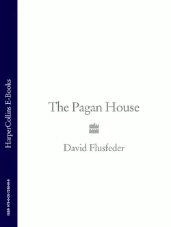 The Pagan House, David Flusfeder