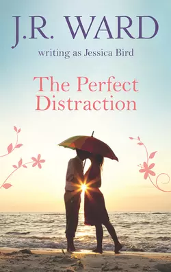 The Perfect Distraction, Jessica Bird