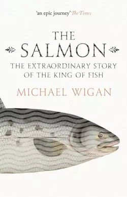 The Salmon: The Extraordinary Story of the King of Fish, Michael Wigan