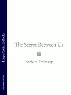 The Secret Between Us, Barbara Delinsky