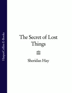 The Secret of Lost Things Sheridan Hay