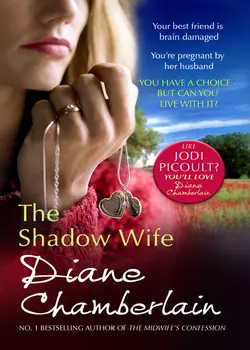 The Shadow Wife, Diane Chamberlain