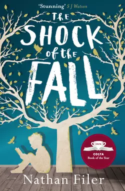 The Shock of the Fall, Nathan Filer