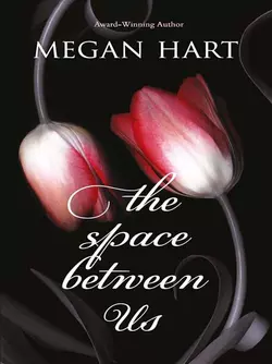 The Space Between Us, Megan Hart