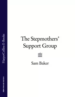 The Stepmothers’ Support Group, Sam Baker