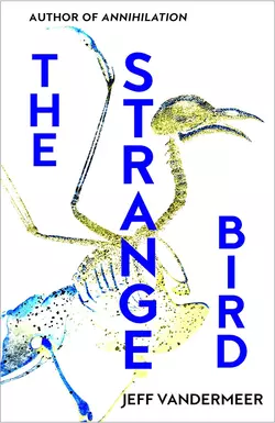 The Strange Bird Jeff VanderMeer