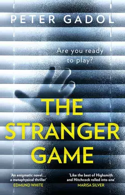 The Stranger Game Peter Gadol