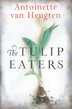 The Tulip Eaters, Antoinette Heugten