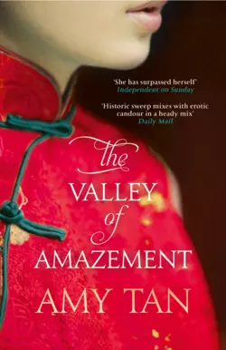 The Valley of Amazement Amy Tan