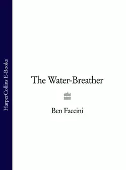 The Water-Breather, Ben Faccini