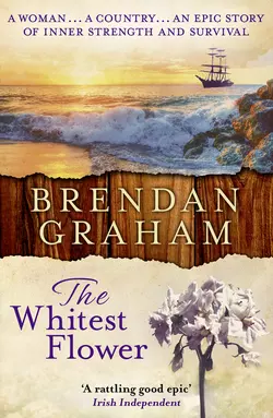 The Whitest Flower Brendan Graham