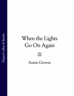 When the Lights Go On Again Annie Groves