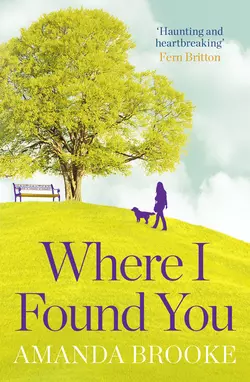 Where I Found You, Amanda Brooke