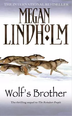 Wolf’s Brother, Megan Lindholm