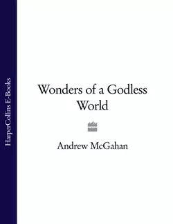 Wonders of a Godless World, Andrew McGahan