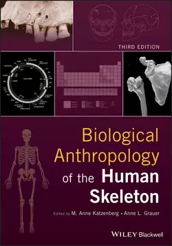 Biological Anthropology of the Human Skeleton, Anne Grauer