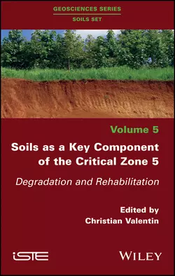 Soils as a Key Component of the Critical Zone 5. Degradation and Rehabilitation, Christian Valentin